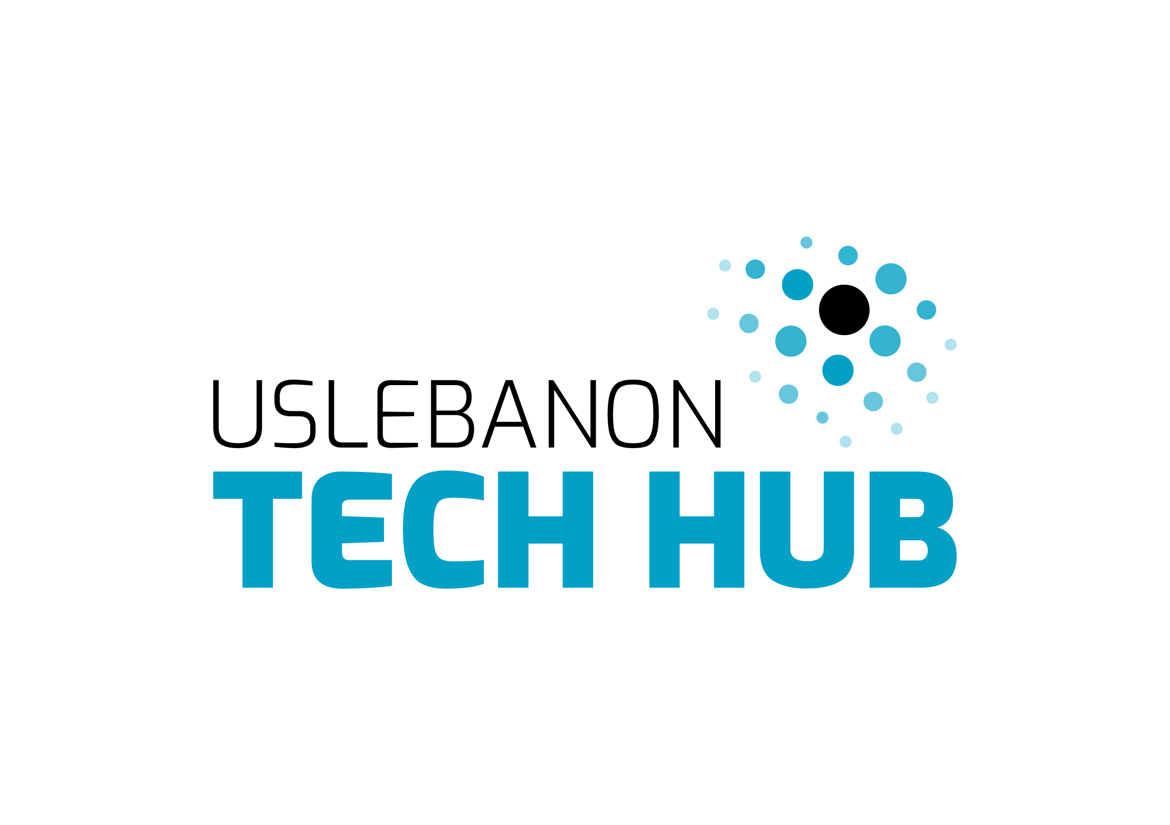 US Lebanon Tech Hub